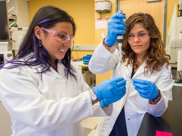 Uc Santa Barbara Biology Transfer Requirements Uc Santa Barbara Biology Transfer Requirements